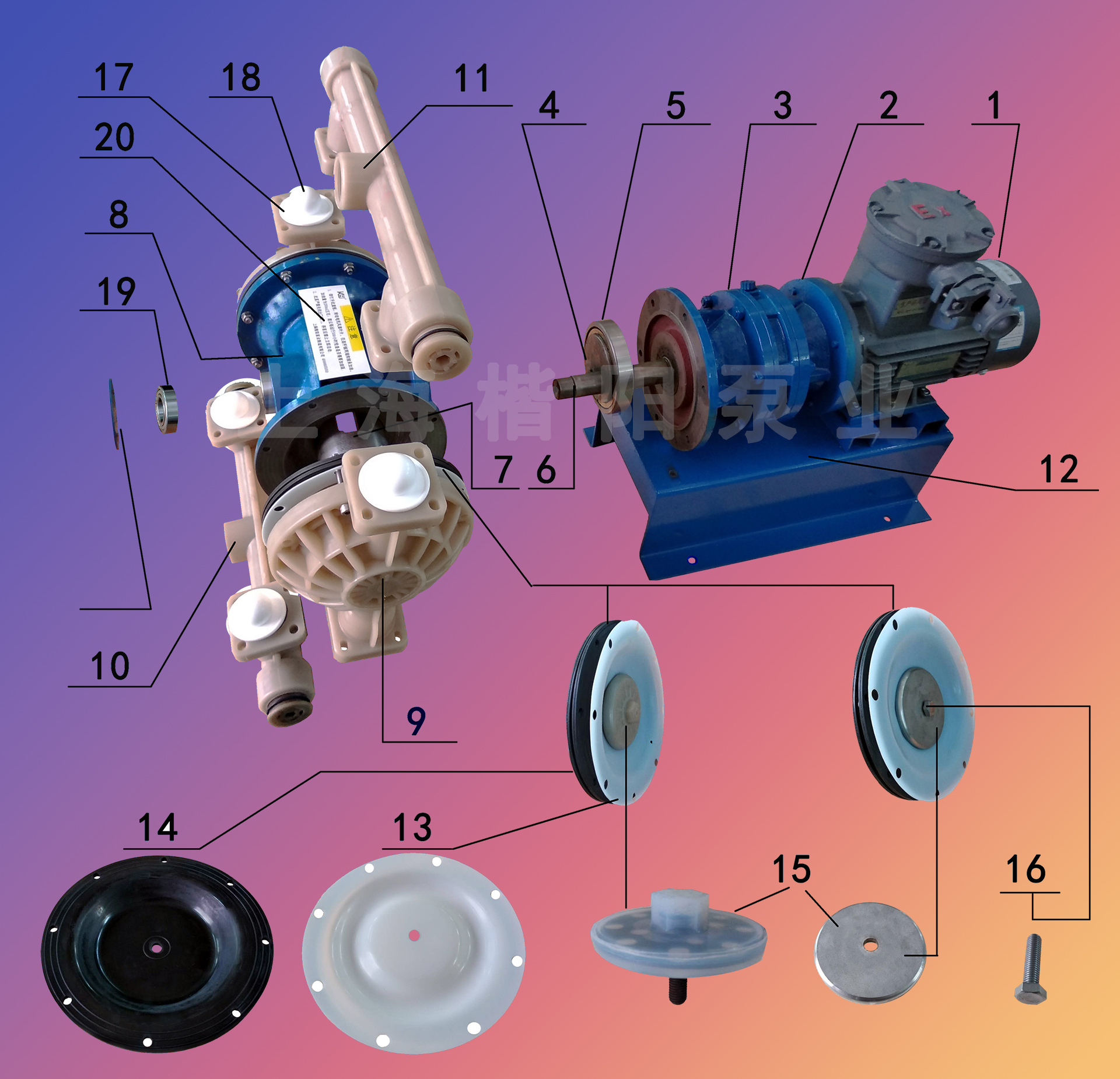 電動隔膜泵維護內(nèi)容1