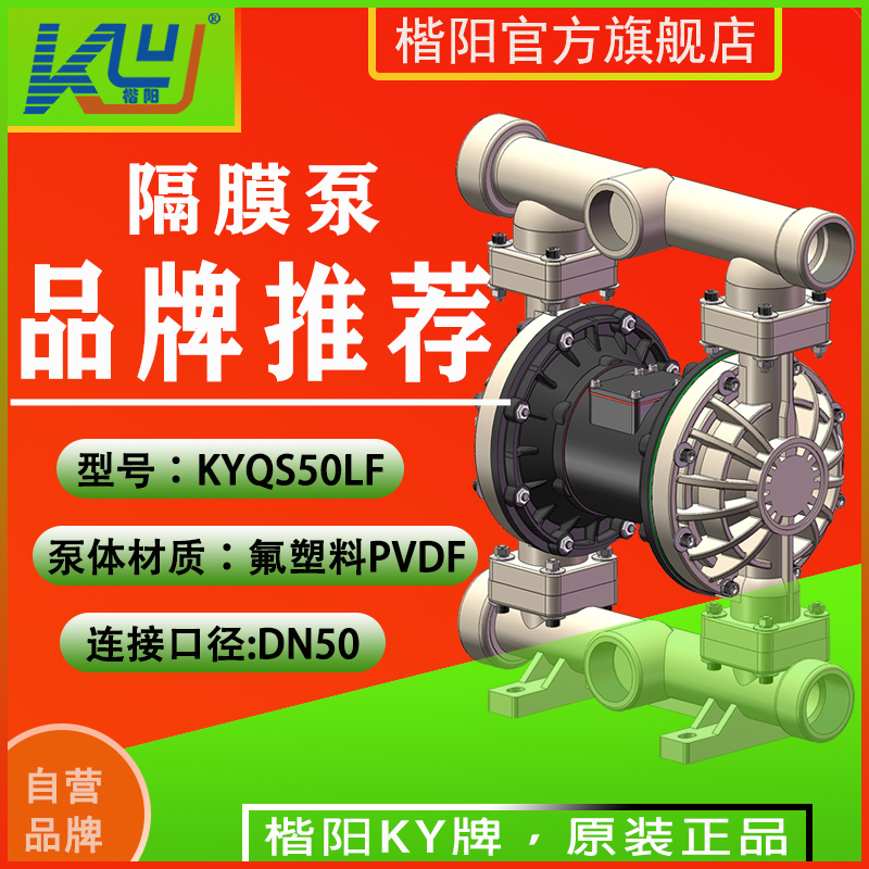 KYQS50LF全氟氣動(dòng)隔膜泵4