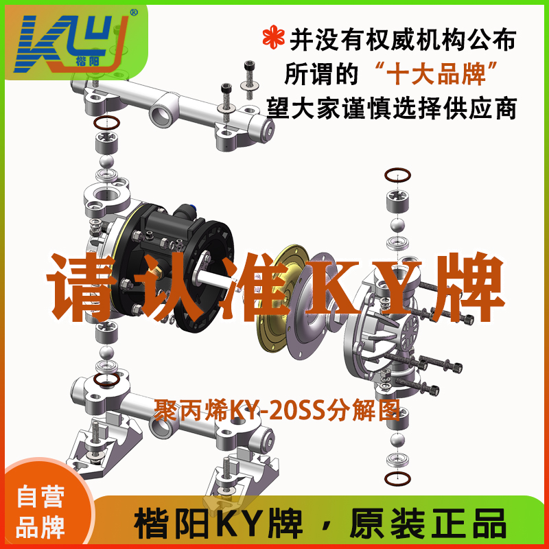 KY-20SS塑料氣動隔膜泵5