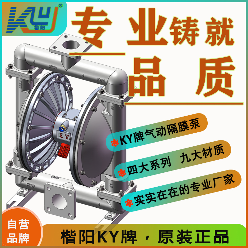 KYQ80L4不銹鋼氣動隔膜泵4