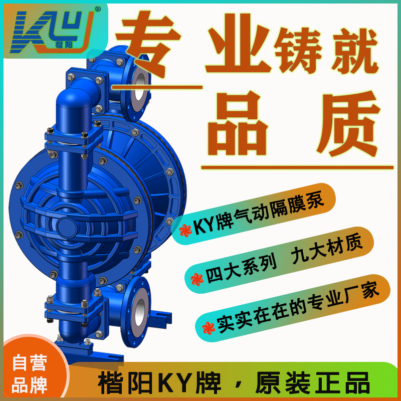 KYQ100LC鋼襯氟氣動隔膜泵4